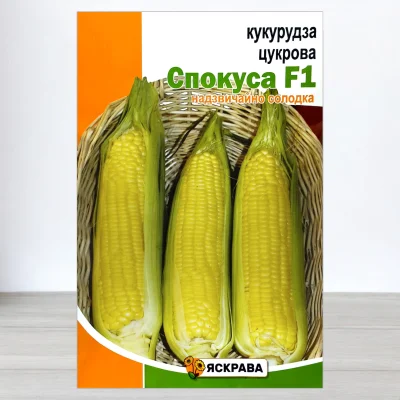 Семена кукурузы цукровои Спокуса, Яскрава, 20г