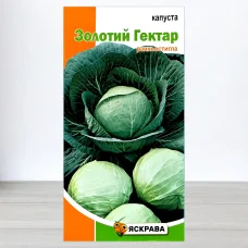 Семена капусты билоголовои Золотий Гектар, Яскрава, 0,5г