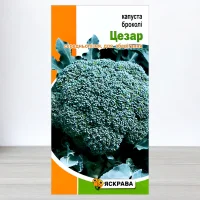 Семена капусты броколи Цезар, Яскрава, 0,5г