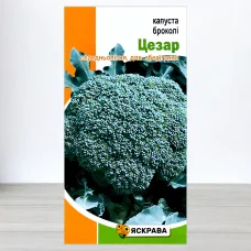 Семена капусты броколи Цезар, Яскрава, 0,5г