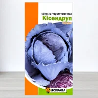 Семена капусты червоноголовои Кисендруп, Яскрава, 0,5г