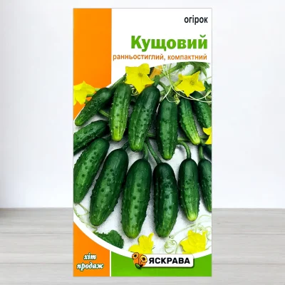 Насіння огірка бджолозапильного Кущовий, Яскрава, 1г