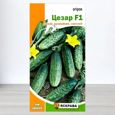 Насіння огірка бджолозапильного Цезар F1, Яскрава, 0,5г