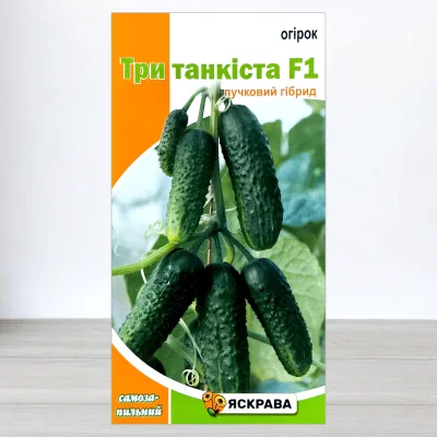 Семена огурца партенокарпичного Три Танкиста F1 Манул, Яскрава, 0,3г