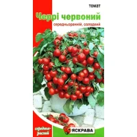 Семена томата чери Червоний, Яскрава, 0,1г