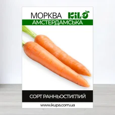 Семена моркови Амстердамська, 100г