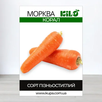 Насіння моркви Корал, 100г