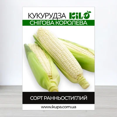 Насіння кукурудзи Снігова Королева, 100г