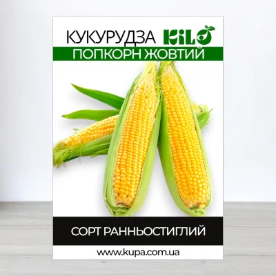 Насіння кукурудзи Попкорн Жовтий, 100г