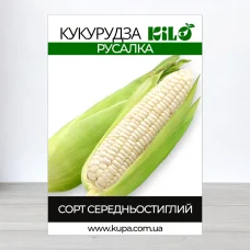 Семена кукурузы Русалка, 100г