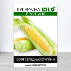 Семена кукурузы Брусниця, 100г
