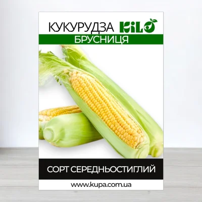 Насіння кукурудзи Брусниця, 100г