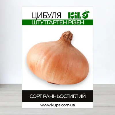 Насіння цибулі Штутгартен Різен, 100г