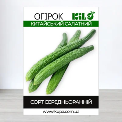 Насіння огірка бджолозапильного Китайський Салатний, 100г