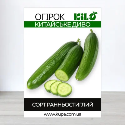 Насіння огірка бджолозапильного Китайське Диво, 100г
