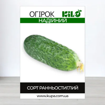 Насіння огірка бджолозапильного Надійний, 100г