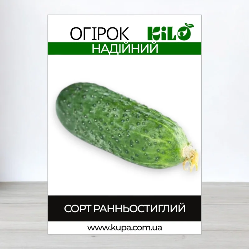 Семена огурца бджолозапильного Надийний, 100г