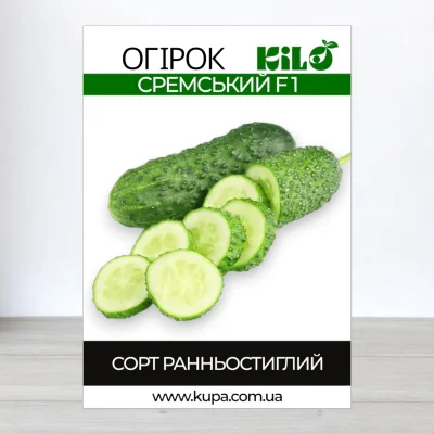 Насіння огірка бджолозапильного Сремський F1, 100г