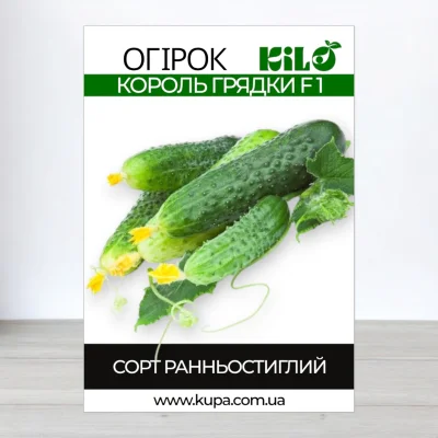 Насіння огірка бджолозапильного Король Грядки F1, 100г