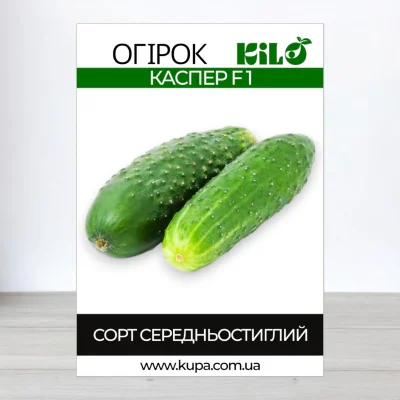 Насіння огірка партенокарпічного Каспер F1, 100г