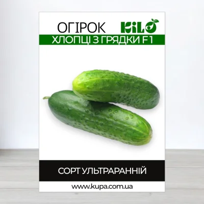 Насіння огірка партенокарпічного Хлопці з Грядки F1, 100г