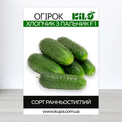 Насіння огірка партенокарпічного Хлопчик з Пальчик F1, 100г