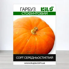 Семена тыквы Стофунтовий, 100г