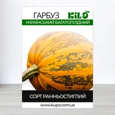 Семена тыквы Украинський Багатоплидний, 100г