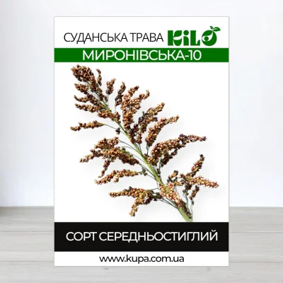 Семена суданськои трави Миронивська-10, Сорго Суданське, 100г
