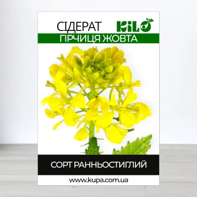 Насіння гірчиці Жовтої, 100г