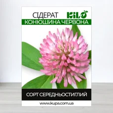 Семена конюшини Червонои, 100г