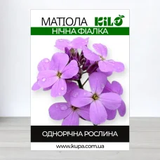 Семена матиоли Нична Фиалка, 100г