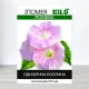 Насіння іпомеї Рожева, 50г