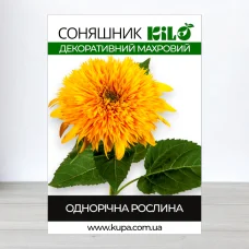 Семена соняшнику декоративного Махрова Сумиш, 50г