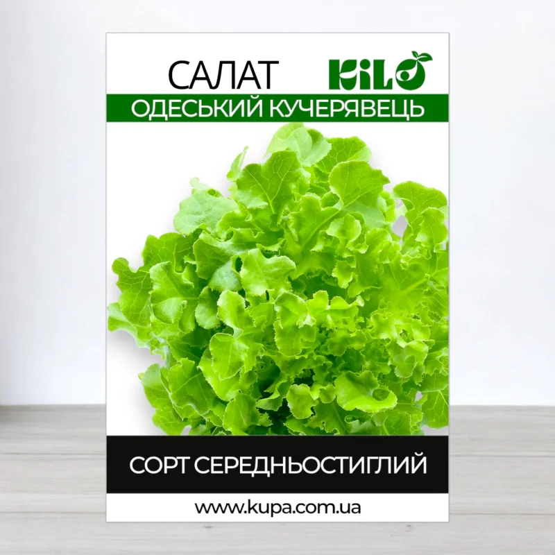 Насіння салату Одеський Кучерявець, 100г