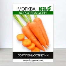 Семена моркови Королева Осени, 1кг
