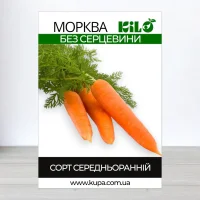 Насіння моркви Без Серцевини, 1кг