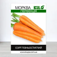 Семена моркови Перфекция, 1кг