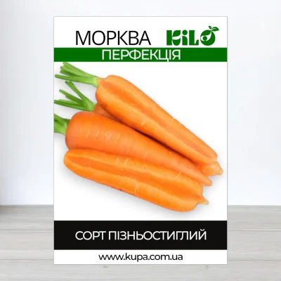 Насіння моркви Перфекція, 1кг