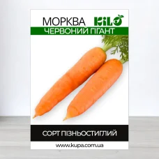 Семена моркови Червоний Гигант, 1кг