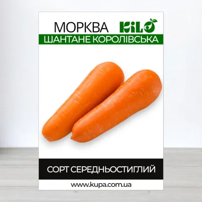 Семена моркови Шантане Короливська, 1кг