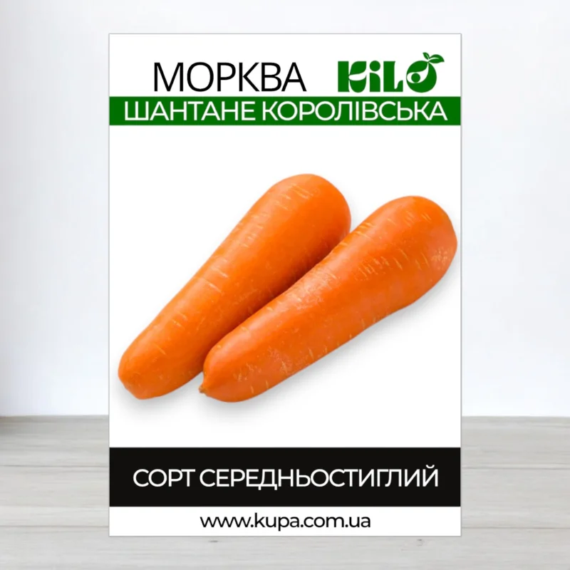 Насіння моркви Шантане Королівська, 1кг