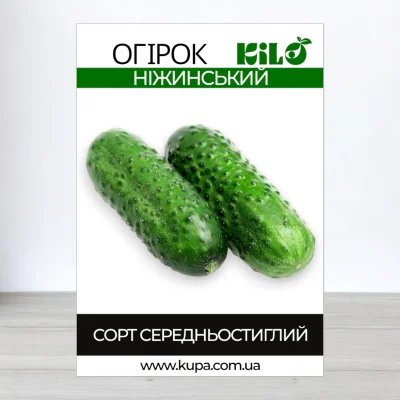 Семена огурца бджолозапильного Нижинський, 0,5кг