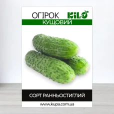 Семена огурца бджолозапильного Кущовий, 0,5кг
