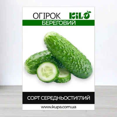 Семена огурца бджолозапильного Береговий, 0,5кг