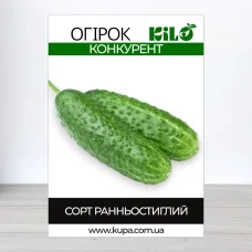 Семена огурца бджолозапильного Конкурент, 0,5кг