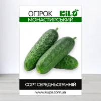 Насіння огірка бджолозапильного Монастирський, 0,5кг