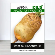 Семена свеклы кормового Урсус Поли Жовтий, 1кг