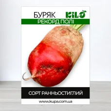 Семена свеклы кормового Рекорд Поли Малопольський, 1 кг