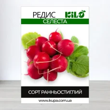 Семена редиса Селеста, 1кг